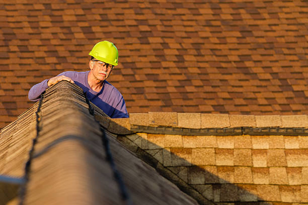Residential Roof Replacement in Egypt Lake Leto, FL